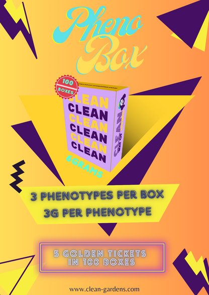 Limited Edition Edition Phenobox